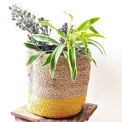 Yellow Jute Planter cum Storage Basket (S,M,L)-Jute Planters Cum Storage Baskets-House of Ekam